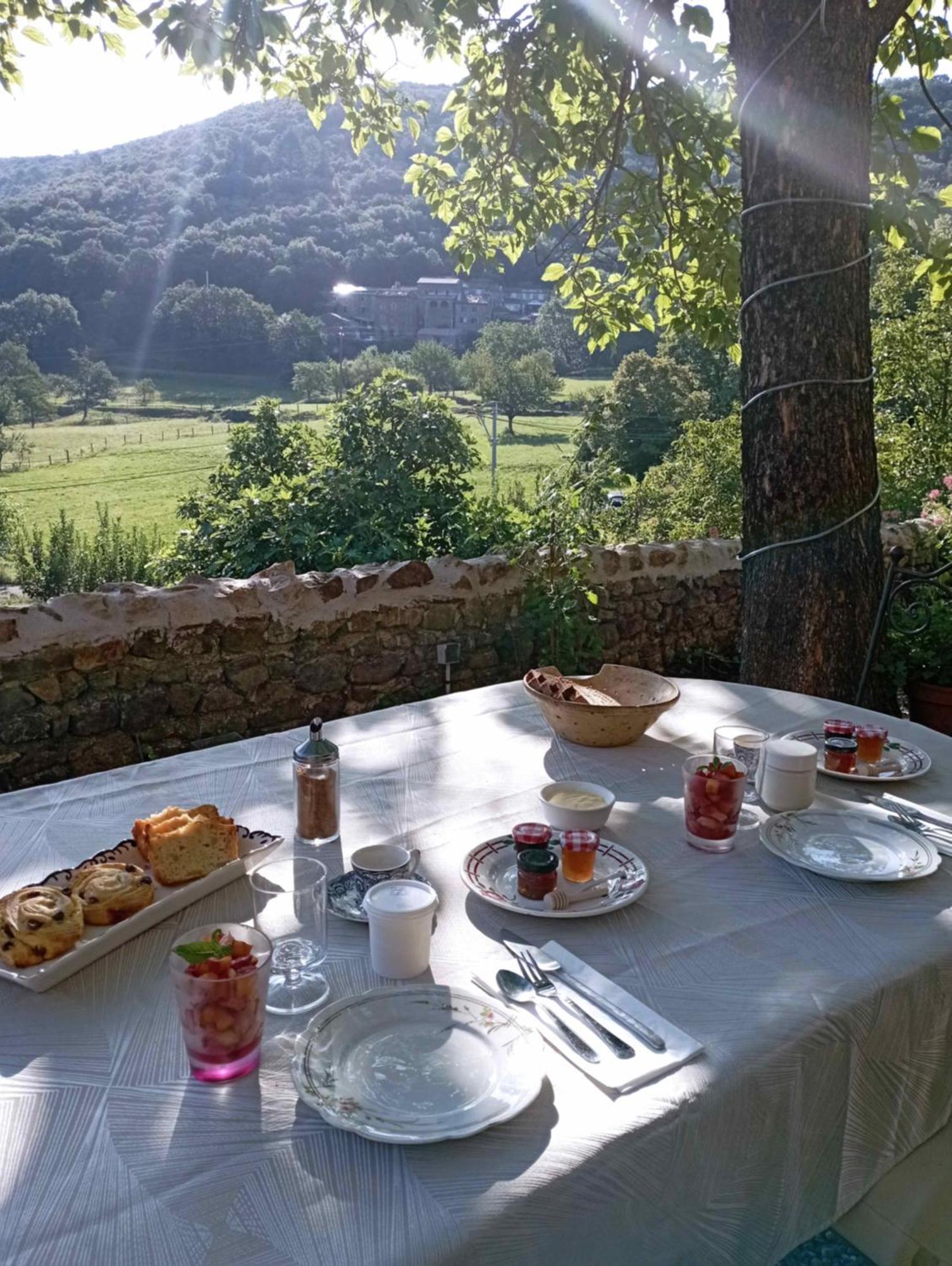 Chambre D'Hote Dans Mas Proche Anduze Cevennes Avec Piscine Mialet  外观 照片
