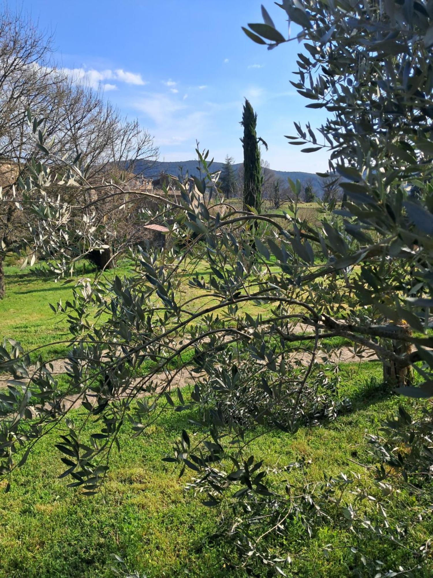 Chambre D'Hote Dans Mas Proche Anduze Cevennes Avec Piscine Mialet  客房 照片